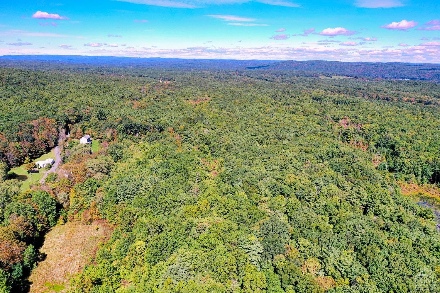 204 Joel M Austin Road Cairo, NY 12413 - Photo 34 of 40 a view of a green and green yard