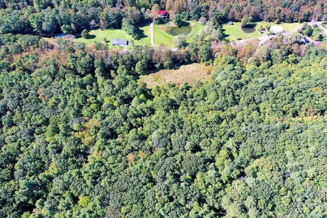 a view of a yard with an outdoor space