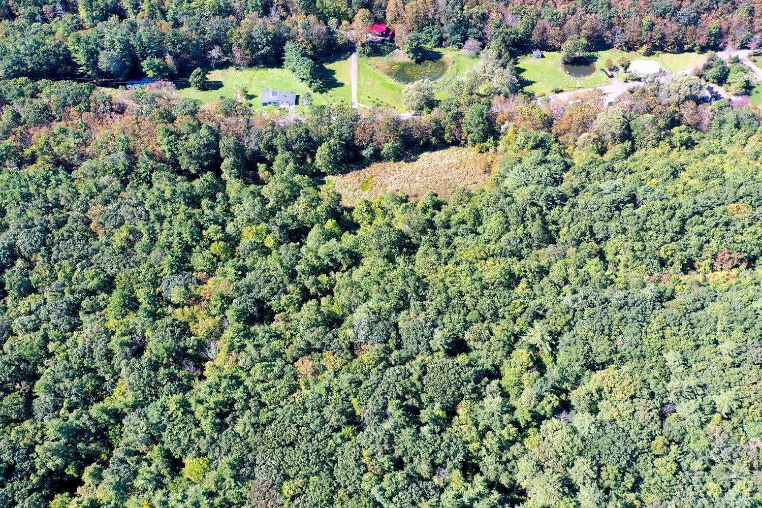 204 Joel M Austin Road Cairo, NY 12413 - Photo 35 of 40 a view of a garden with flowers