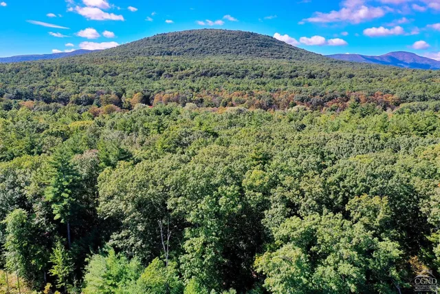 $170,000 | 204 Joel M Austin Road, Cairo, NY 12413