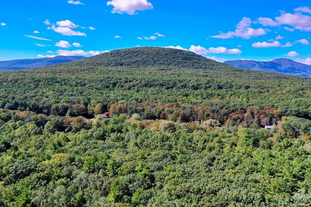 $170,000 | 204 Joel M Austin Road, Cairo, NY 12413