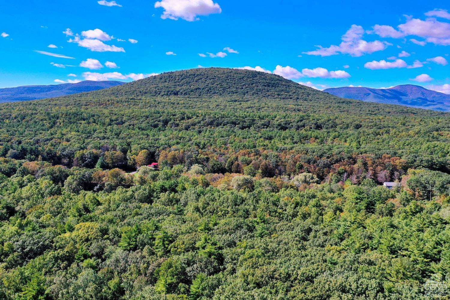 204 Joel M Austin Road Cairo, NY 12413 - Photo 37 of 40 a view of a green yard