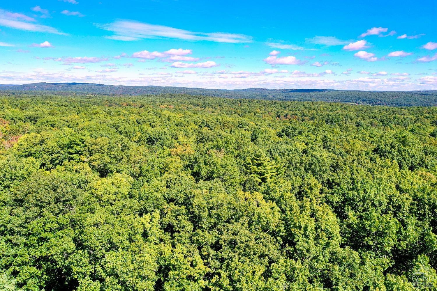 204 Joel M Austin Road Cairo, NY 12413 - Photo 38 of 40 a view of a big yard with lots of green space
