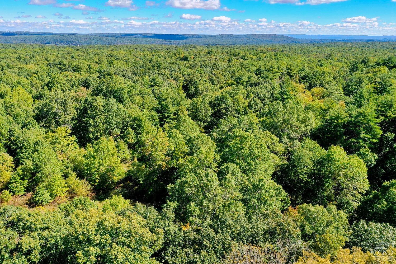 204 Joel M Austin Road Cairo, NY 12413 - Photo 39 of 40 a view of a yard with an outdoor space