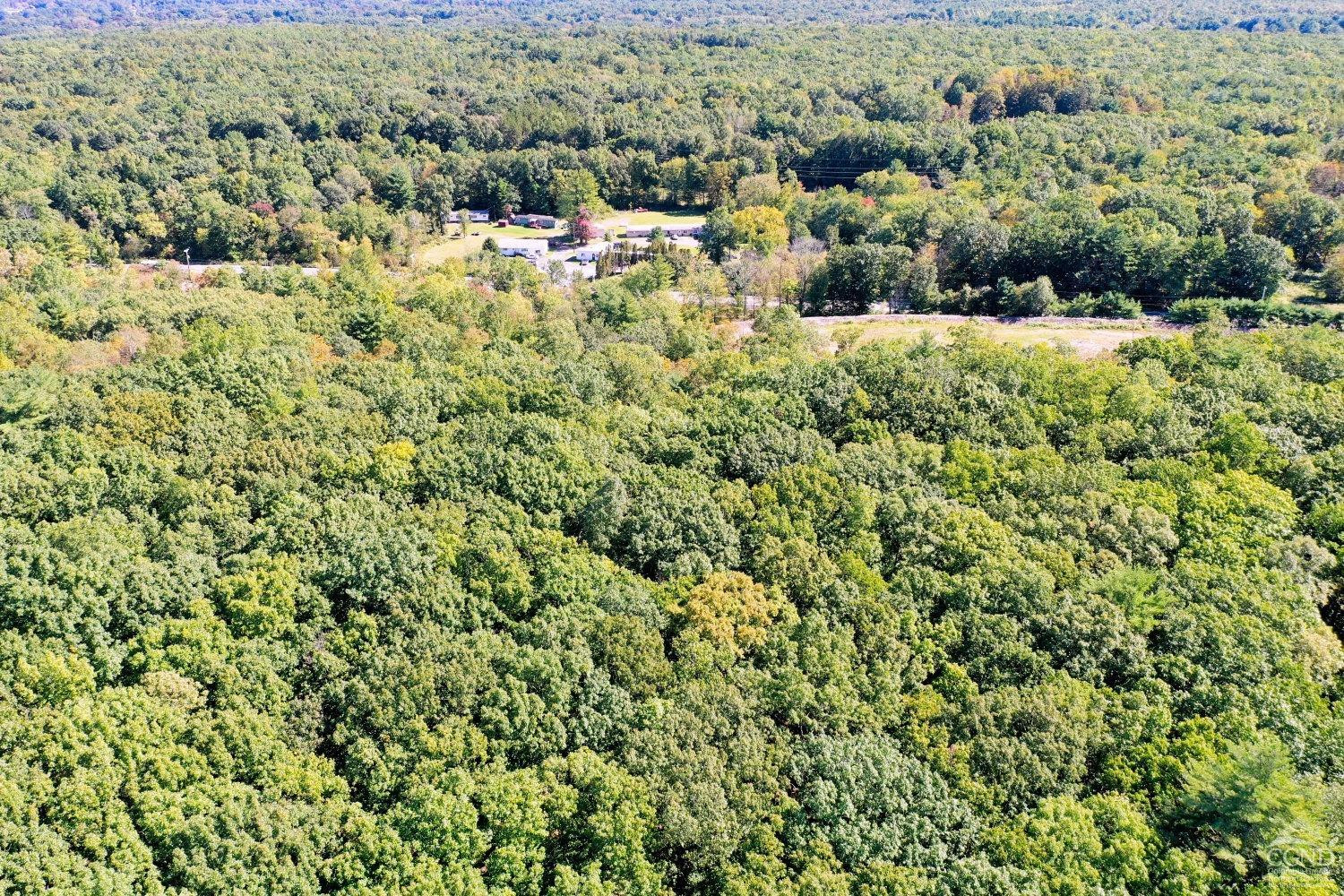 204 Joel M Austin Road Cairo, NY 12413 - Photo 40 of 40