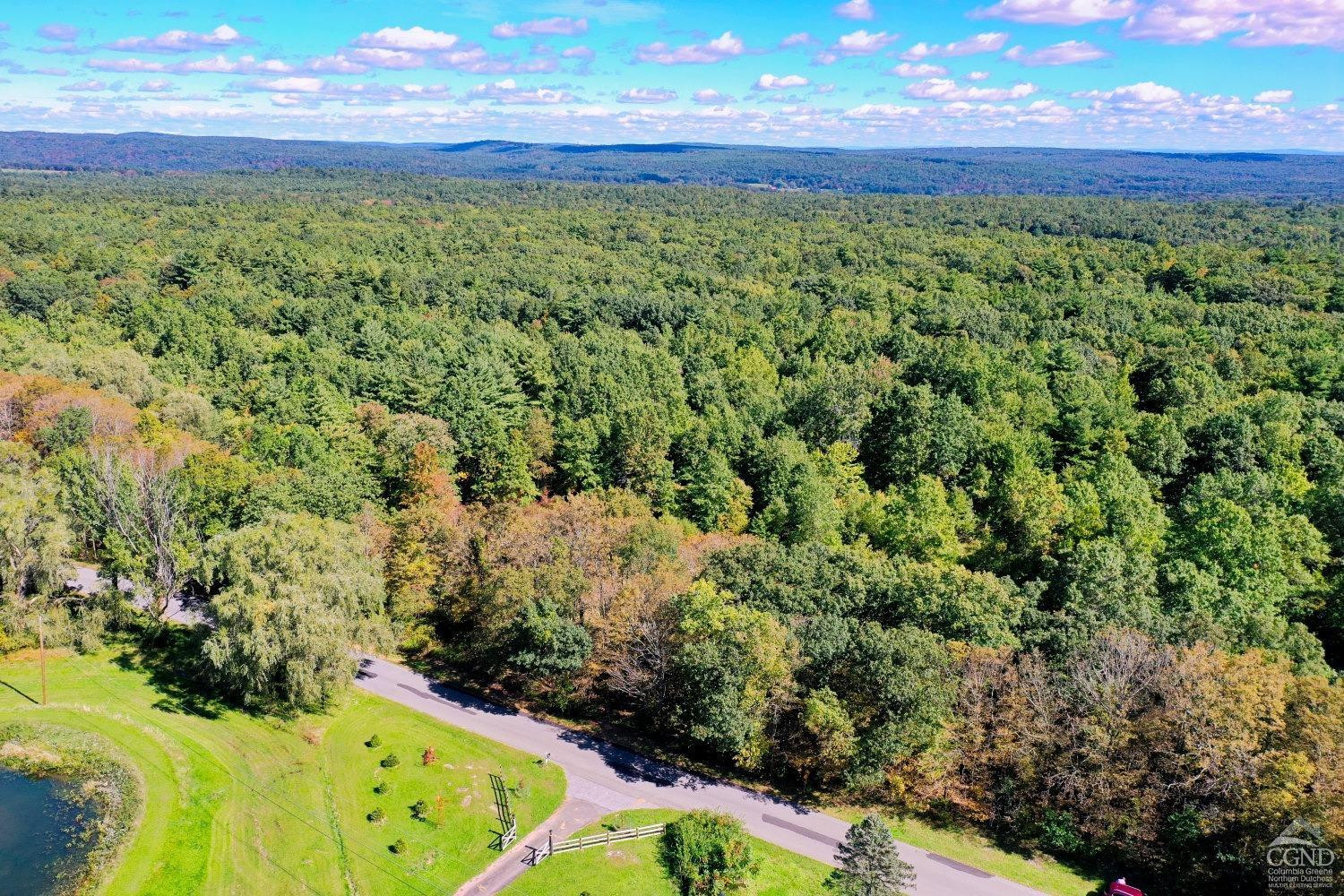 204 Joel M Austin Road Cairo, NY 12413 - Photo 6 of 40 a view of a yard with an outdoor space