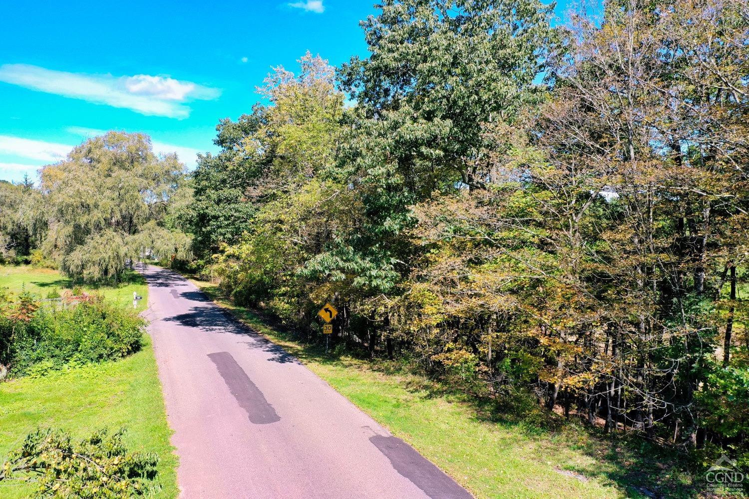 204 Joel M Austin Road Cairo, NY 12413 - Photo 8 of 40 a view of a pathway both side of yard