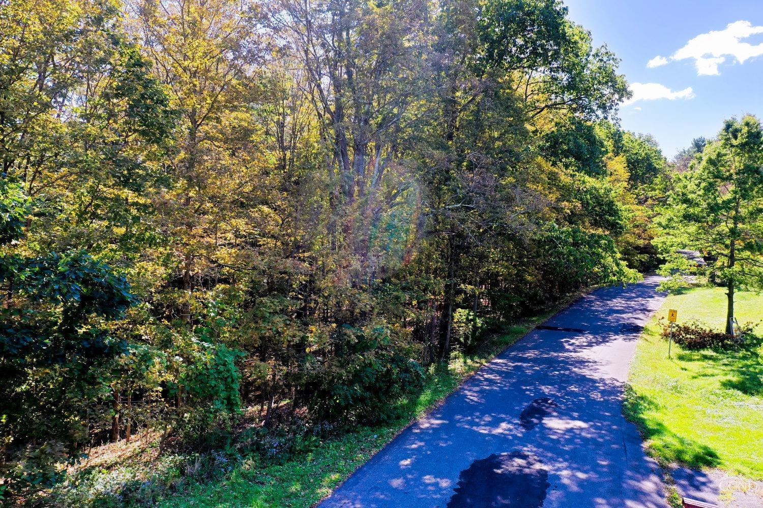 204 Joel M Austin Road Cairo, NY 12413 - Photo 9 of 40 a view of a garden with plants and large trees