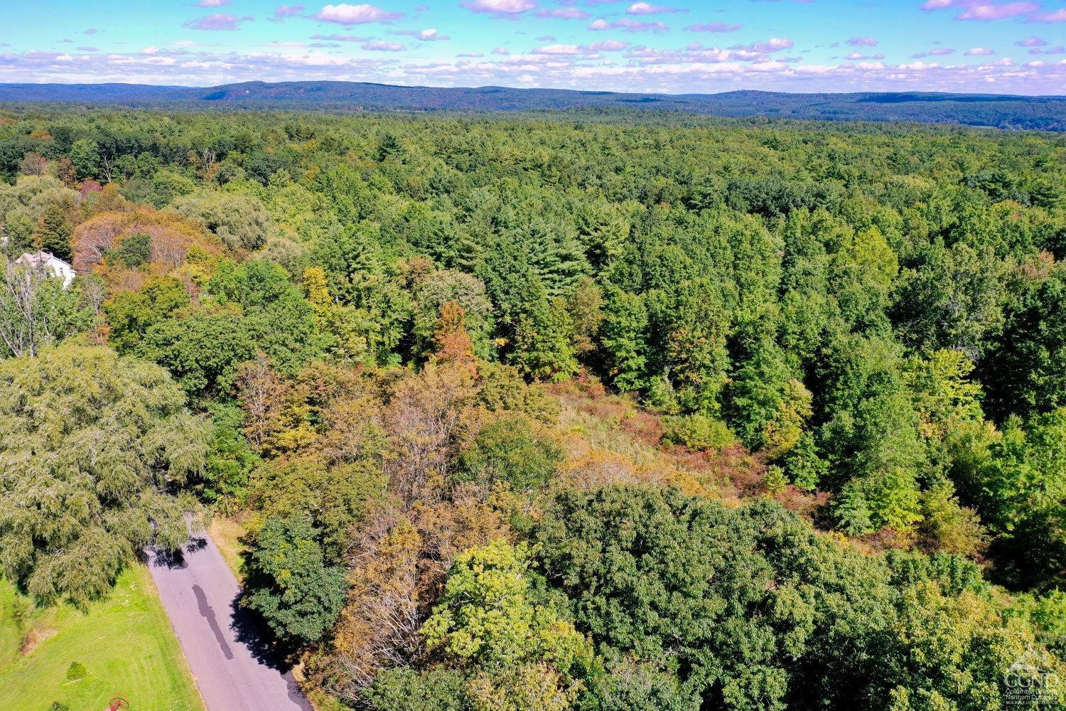 204 Joel M Austin Road Cairo, NY 12413 - Photo 10 of 40 a view of a yard