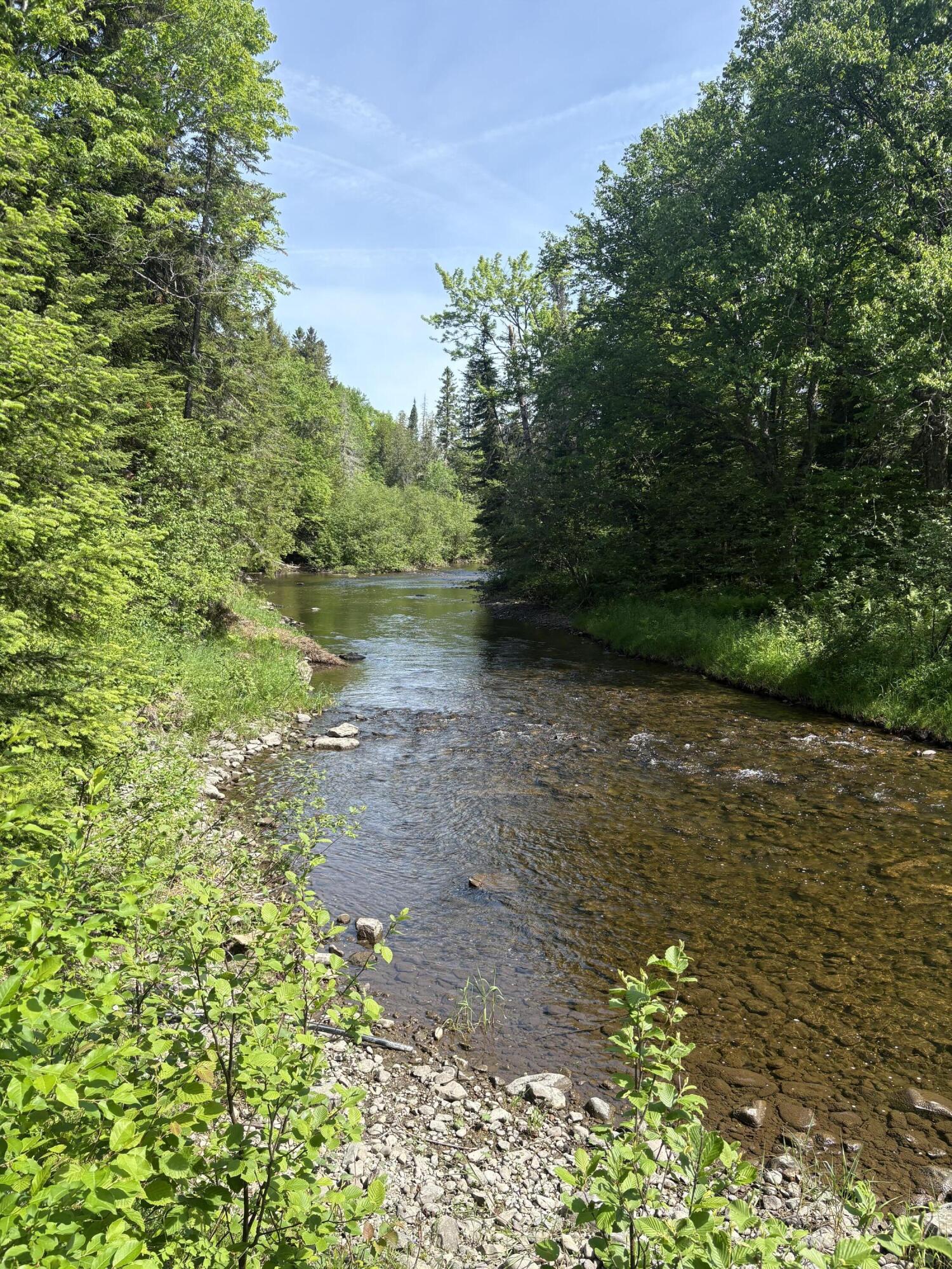 Lot 12 South South Branch Rd Tc Bridgewater, ME 04735 - Photo 38 of 41