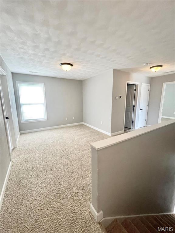 805 Bluff Ridge Lane Shiloh, IL 62221 - Photo 11 of 27