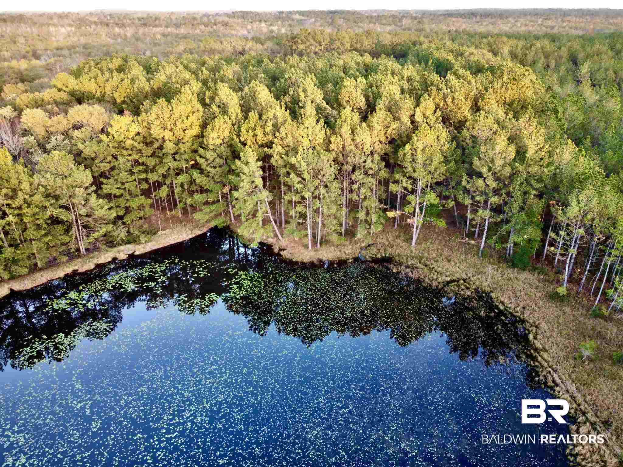 0 Country Road Fruitdale, AL 36539 - Photo 11 of 47