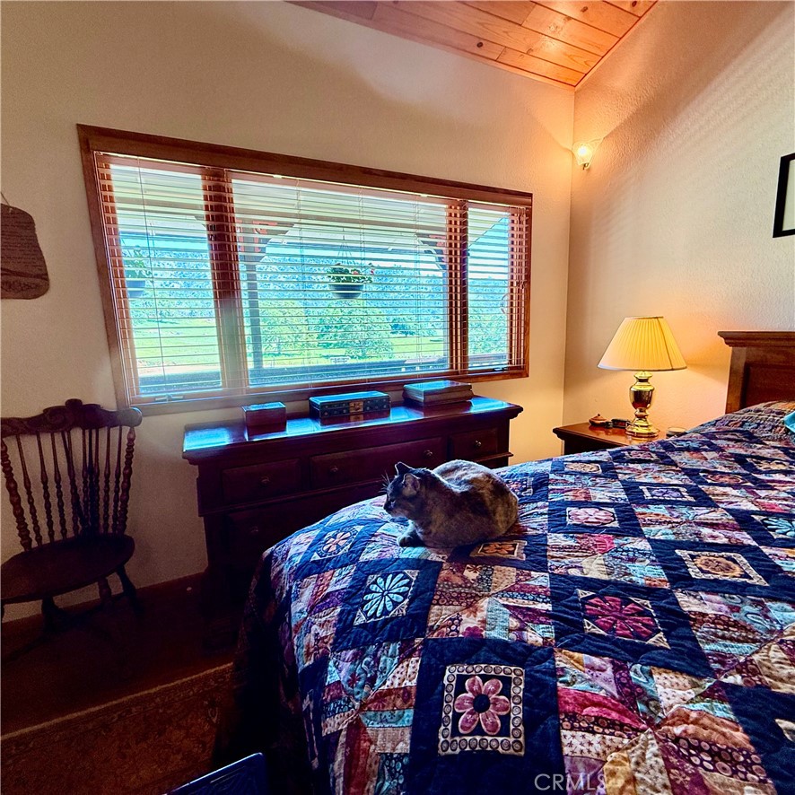 2877 Trower Road Catheys Valley, CA 95306 - Photo 47 of 68 Masterbedroom views with a cozy cat.