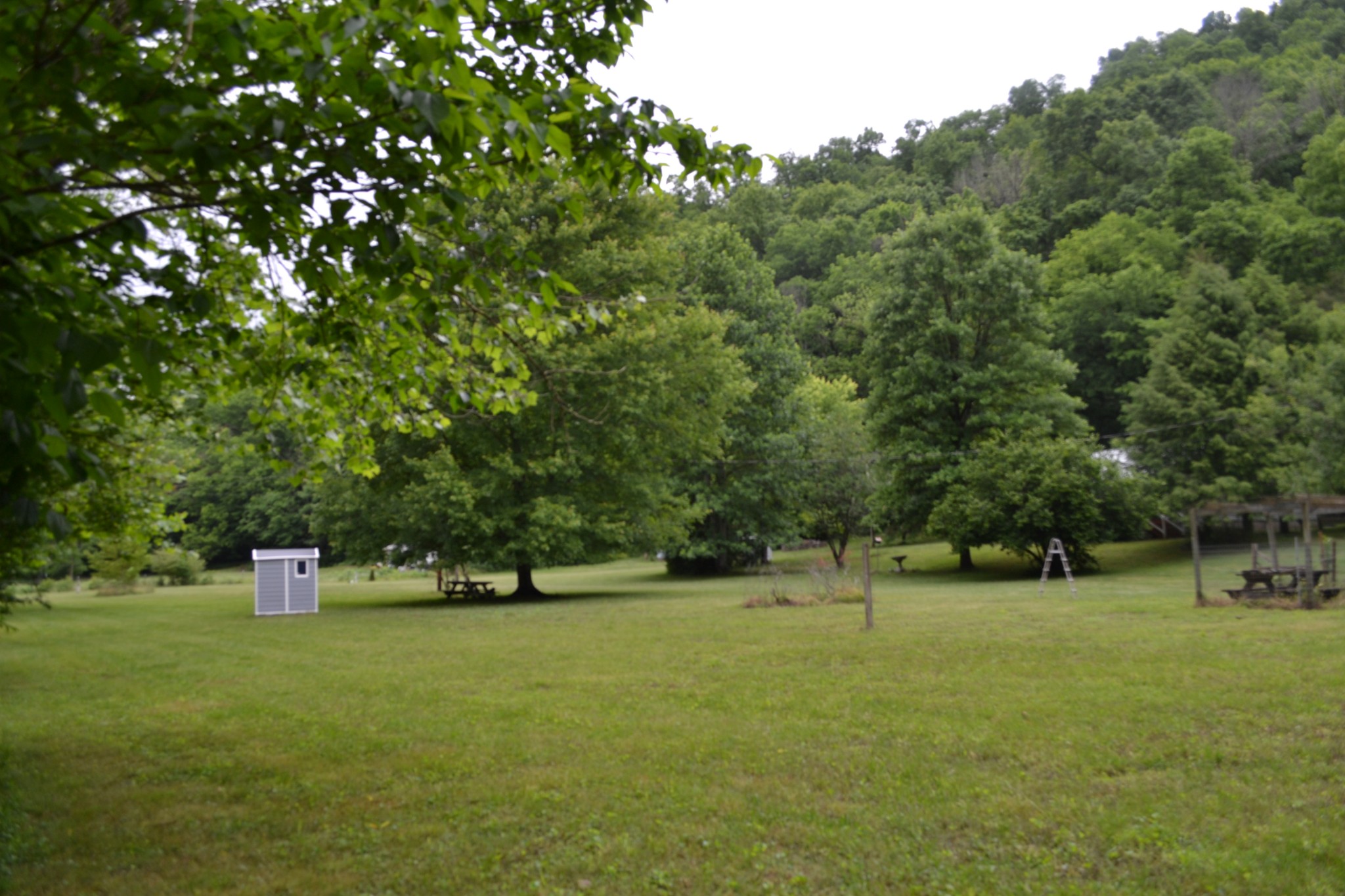 1505 Add Stafford Road Hilham, TN 38568 - Photo 61 of 65 a view of outdoor space with deck and yard