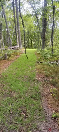 $395,000 | 5415 24th Avenue Northeast, Longville, MN 56655