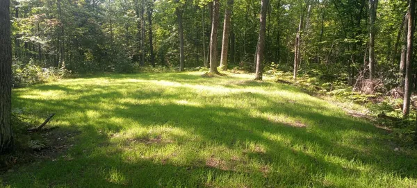 $395,000 | 5415 24th Avenue Northeast, Longville, MN 56655