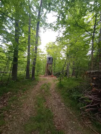 $395,000 | 5415 24th Avenue Northeast, Longville, MN 56655