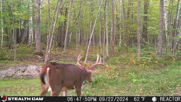 $395,000 | 5415 24th Avenue Northeast, Longville, MN 56655