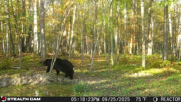 $395,000 | 5415 24th Avenue Northeast, Longville, MN 56655