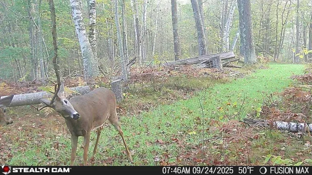 $395,000 | 5415 24th Avenue Northeast, Longville, MN 56655