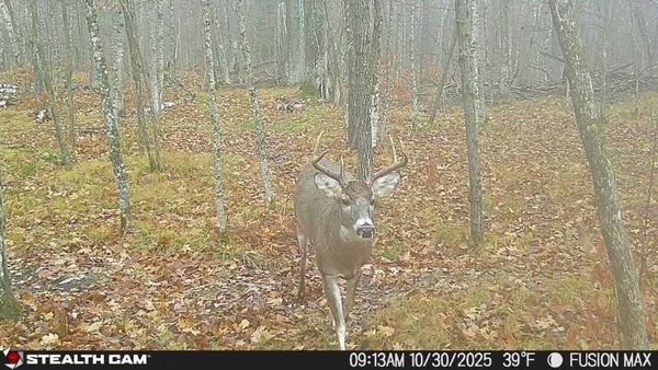 $395,000 | 5415 24th Avenue Northeast, Longville, MN 56655