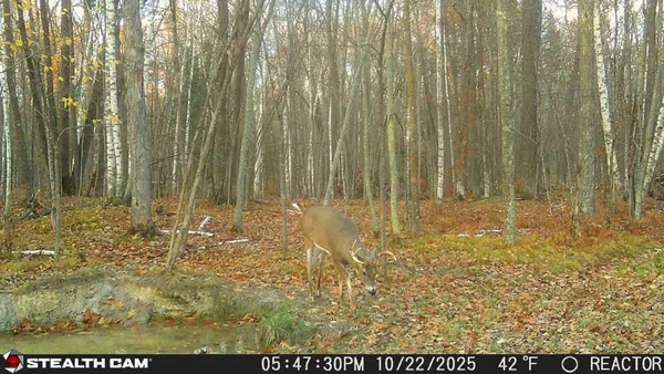 $395,000 | 5415 24th Avenue Northeast, Longville, MN 56655