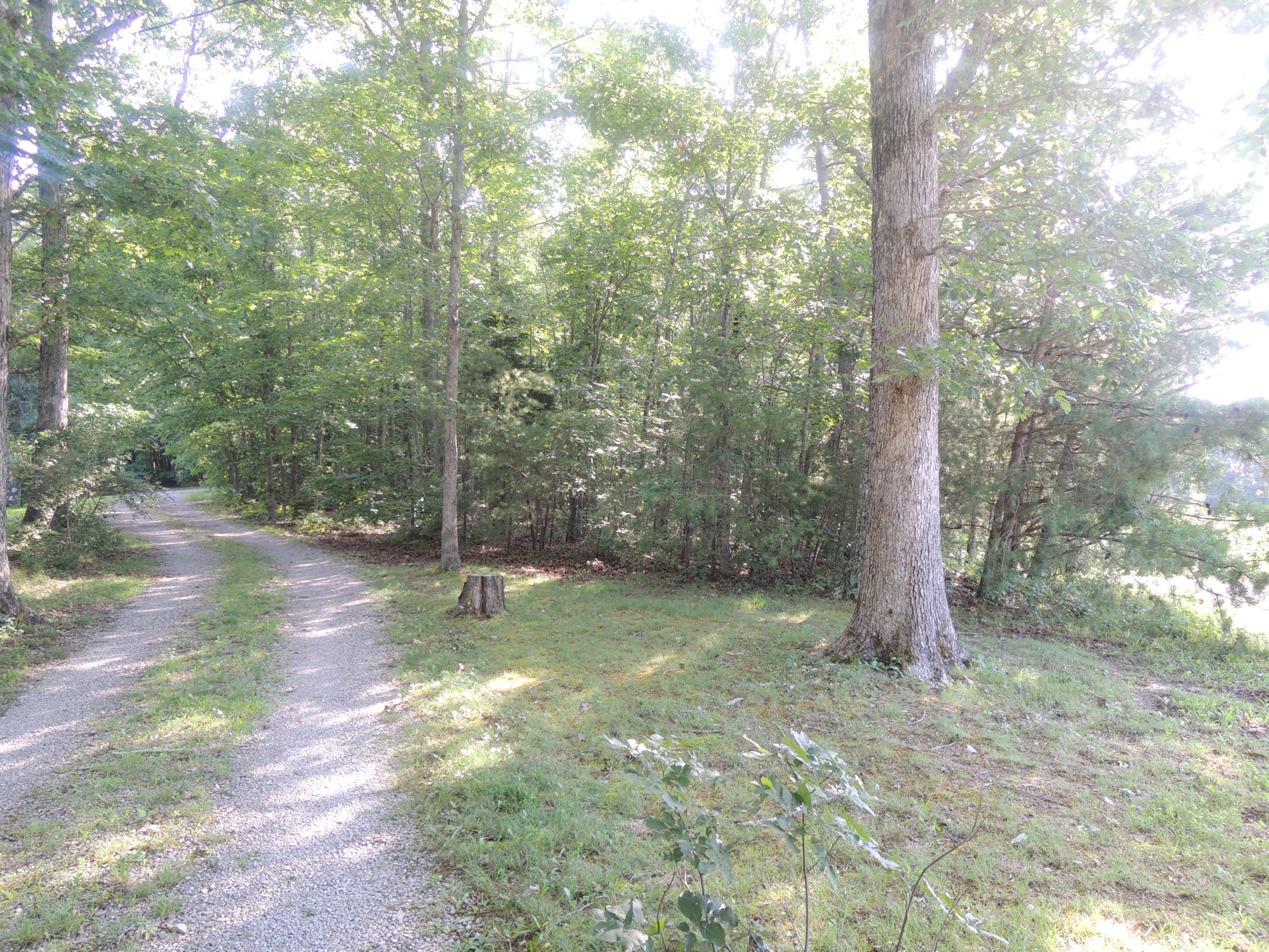 1201 Panther Branch Road Jamestown, TN 38556 - Photo 16 of 16 07112017 037