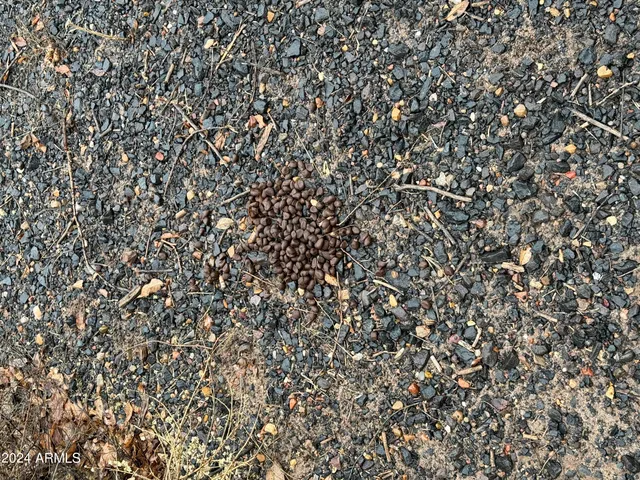 $1,490,000 | 33287 West I-40 Frontage Road, Chambers, AZ 86502