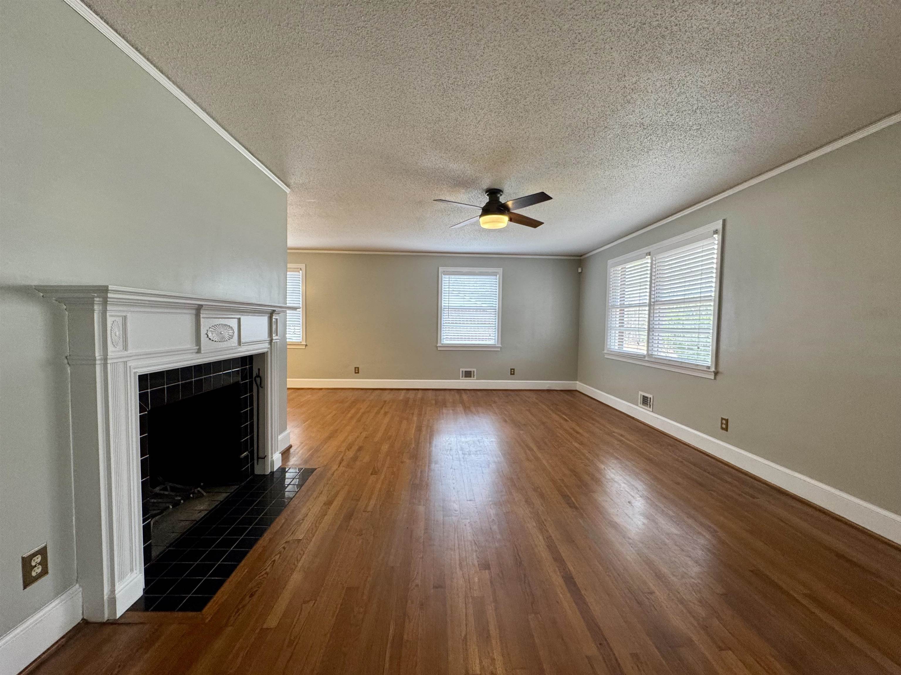 517 County Rd S-45-104 Kingstree, SC 29556 - Photo 6 of 32