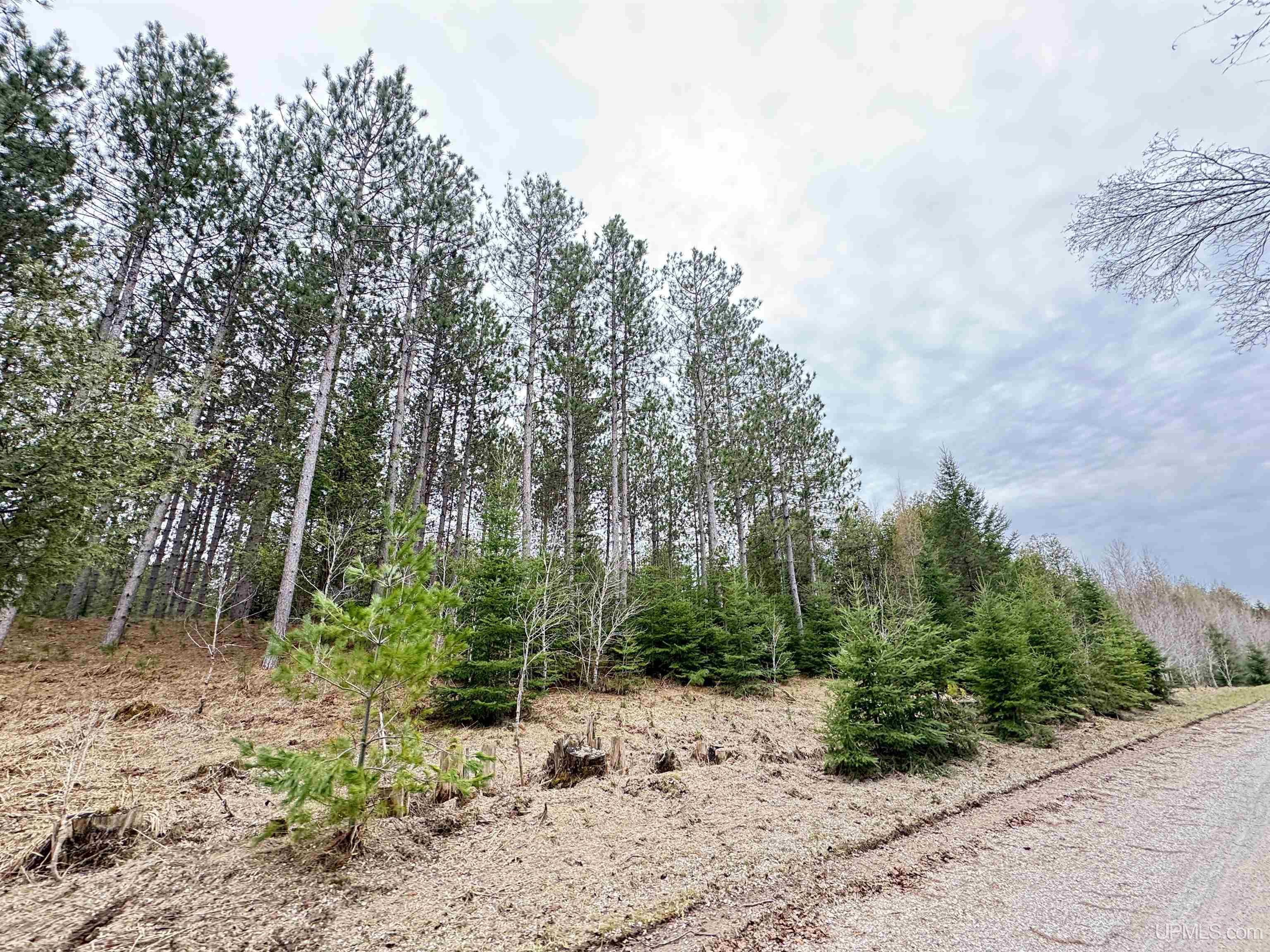 W4777 Lahay Road Daggett, MI 49821 - Photo 59 of 67