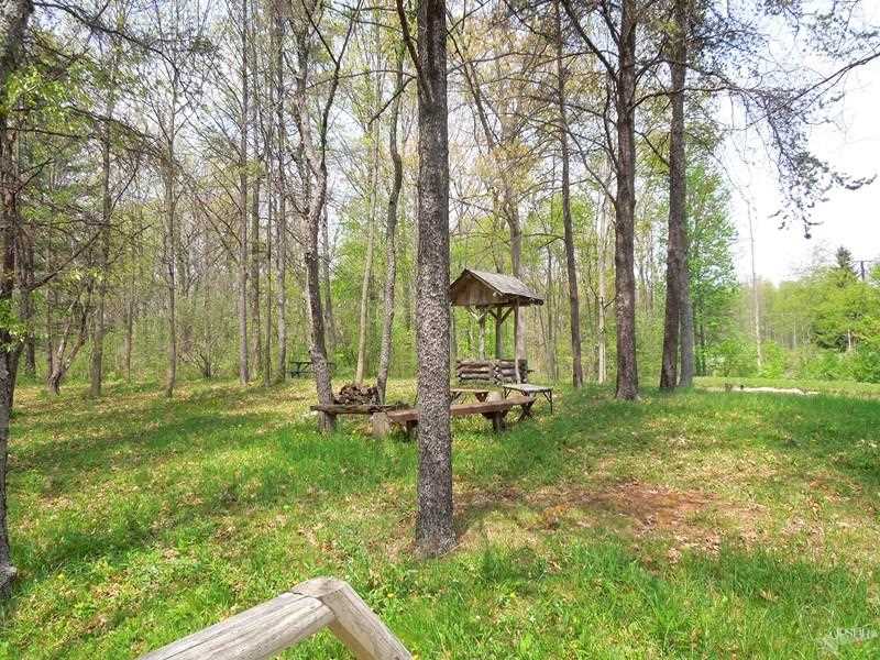 12305 Schwartz Road Grabill, IN 46741 - Photo 27 of 29