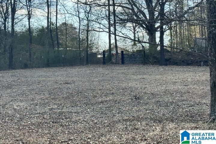 1036 Rushing Springs Road Lincoln, AL 35096 - Photo 26 of 58