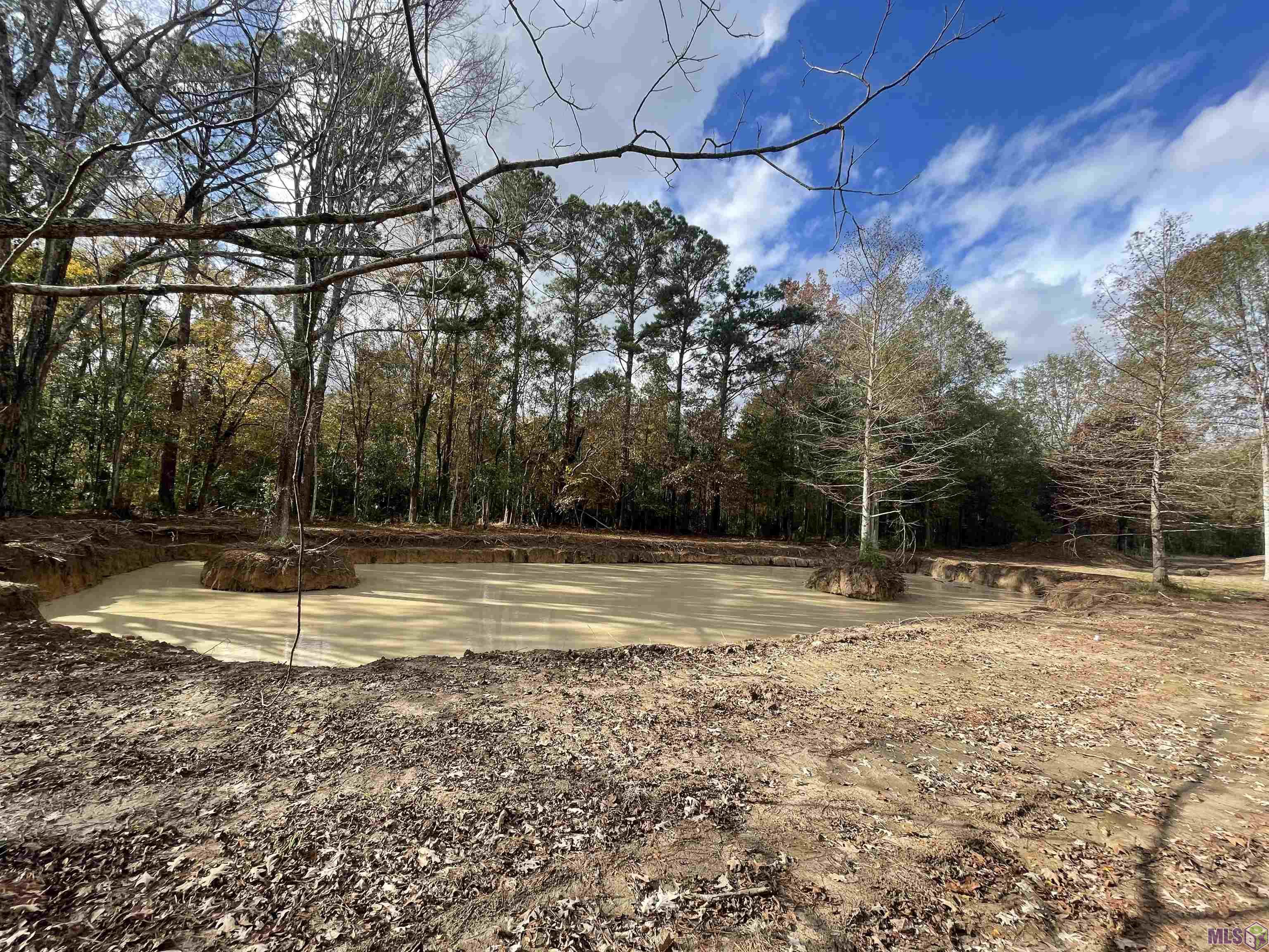 11853 Gurney Road Baker, LA 70714 - Photo 11 of 16 Gallery Image 11