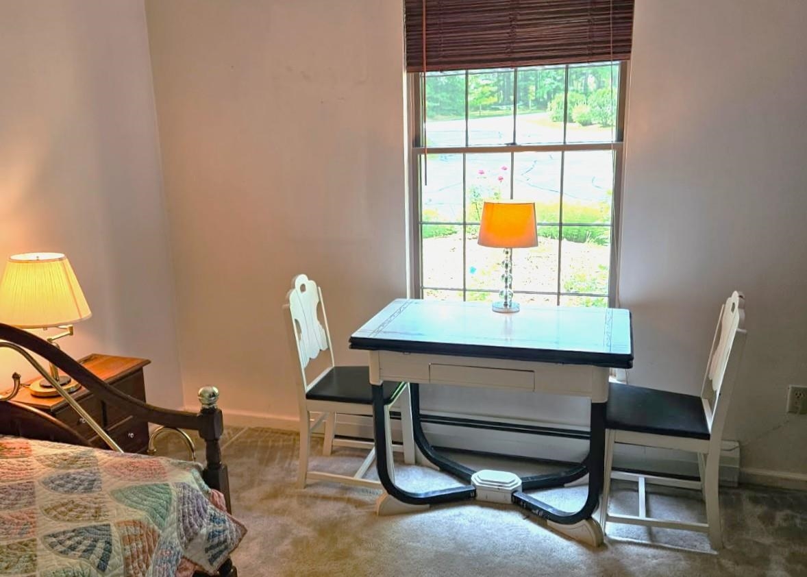 45 Wildflower Trail, Unit 9 Conway, NH 03860 - Photo 27 of 42