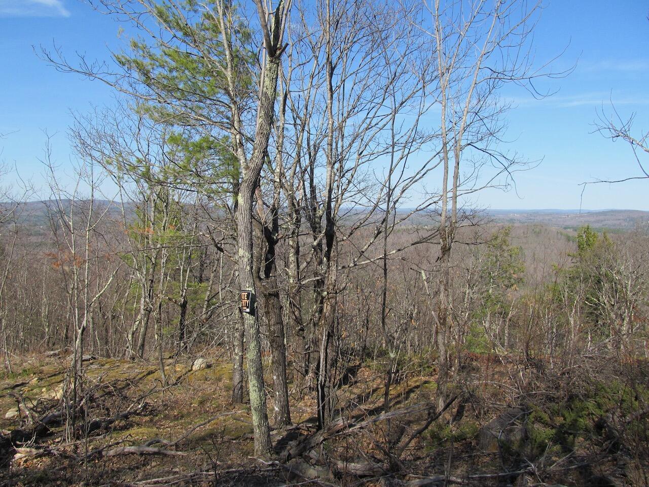 L6 Ranch Road Buckfield, ME 04220 - Photo 4 of 34