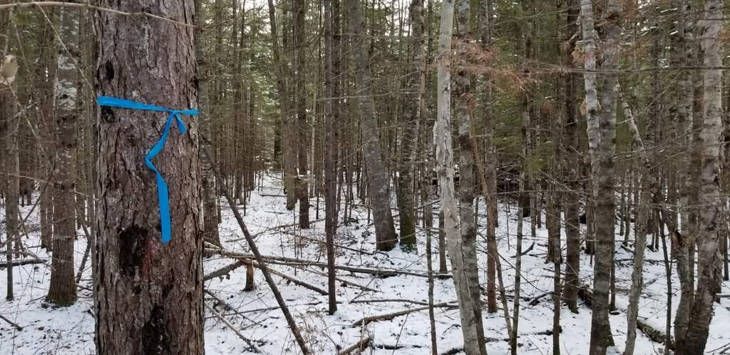 T3 R4 Bkp Wkr Me 04982 Road Stratton, ME 04982 - Photo 2 of 9 Lot