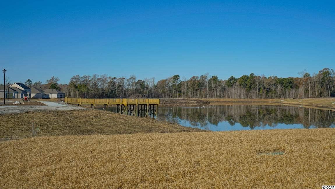 5116 Stockyard Loop Myrtle Beach, SC 29588 - Photo 4 of 9 Gallery Image 4