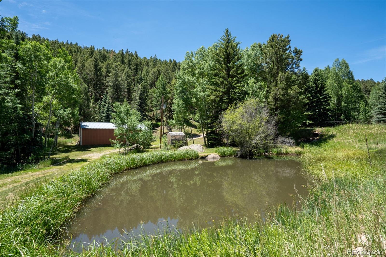 384 Brookside Drive Bailey, CO 80421 - Photo 38 of 50