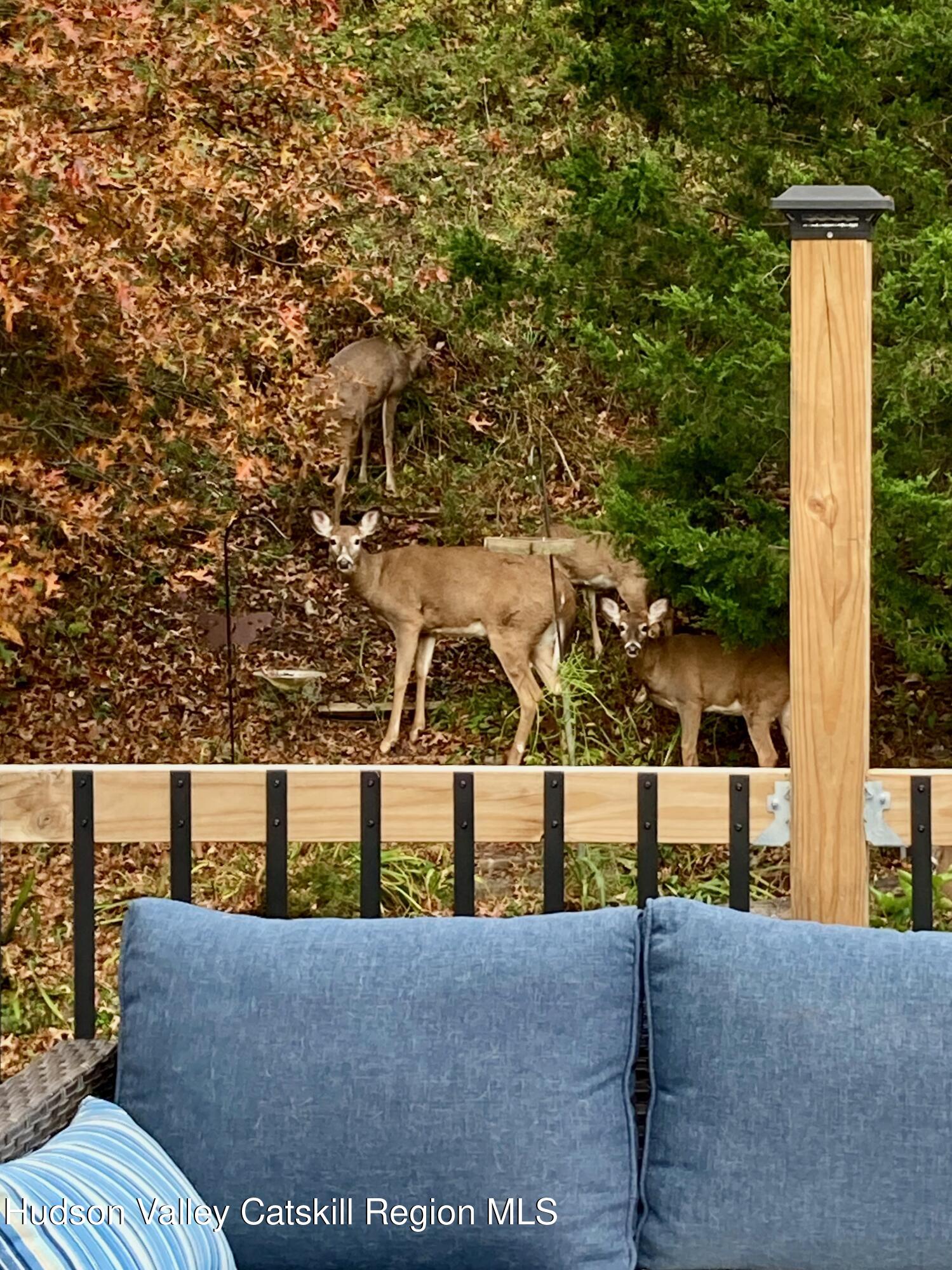 1046 Cow Hough Road New Paltz, NY 12561 - Photo 24 of 37 a view of outdoor space and yard