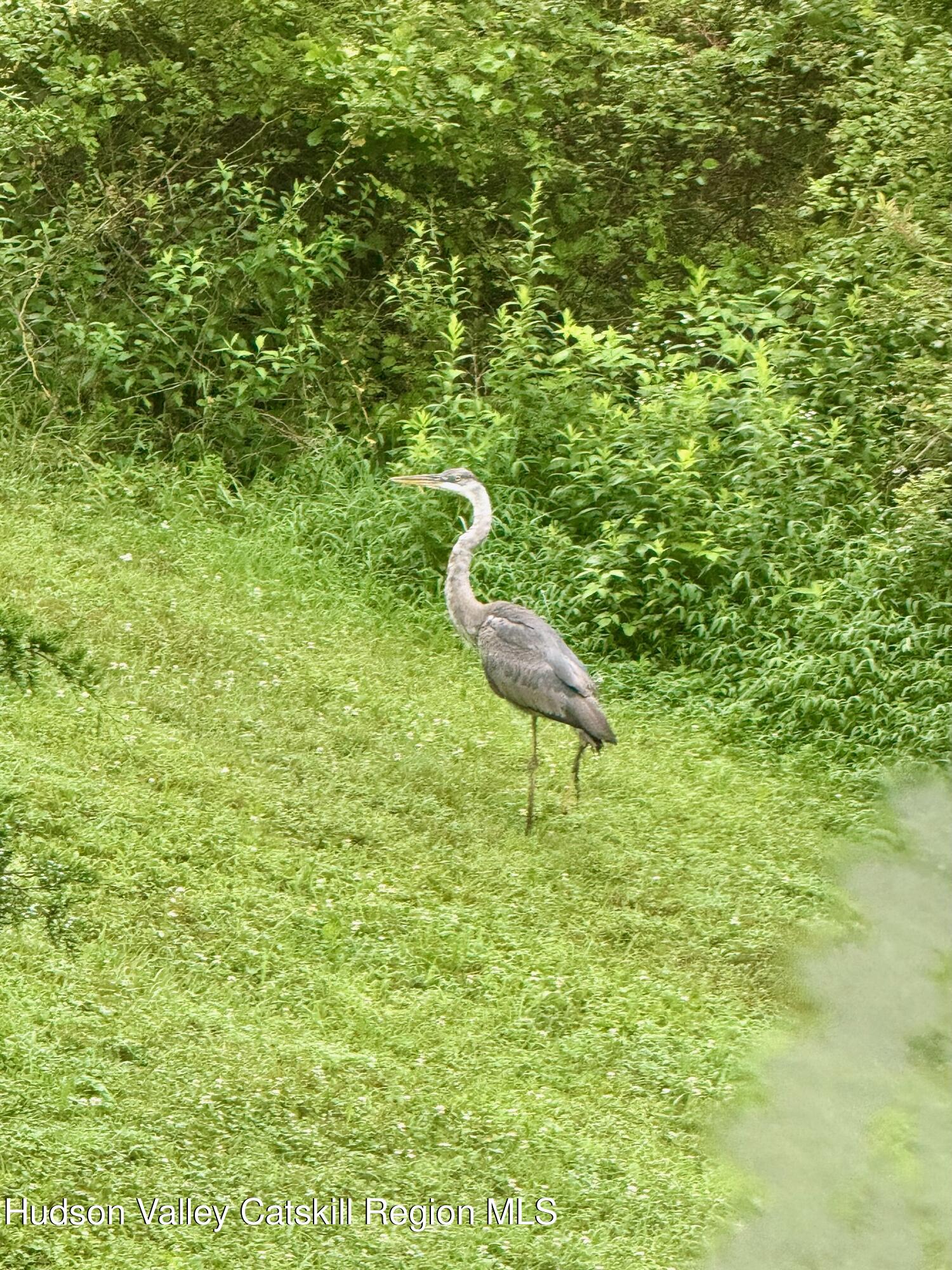 1046 Cow Hough Road New Paltz, NY 12561 - Photo 26 of 37 a wooden bench sitting in middle of a yard