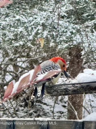 a view of a backyard of the house