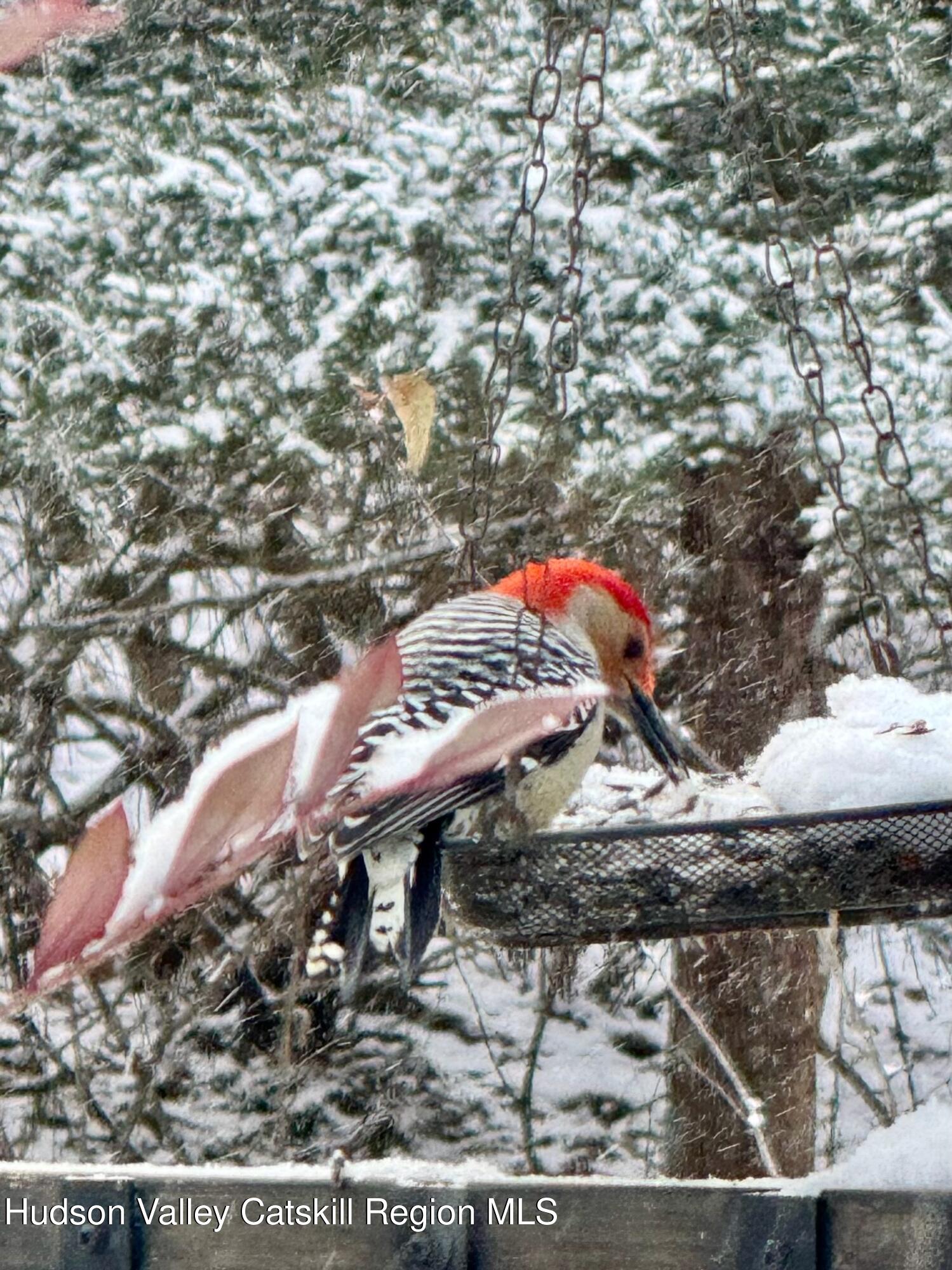 1046 Cow Hough Road New Paltz, NY 12561 - Photo 27 of 37 a view of a backyard of the house