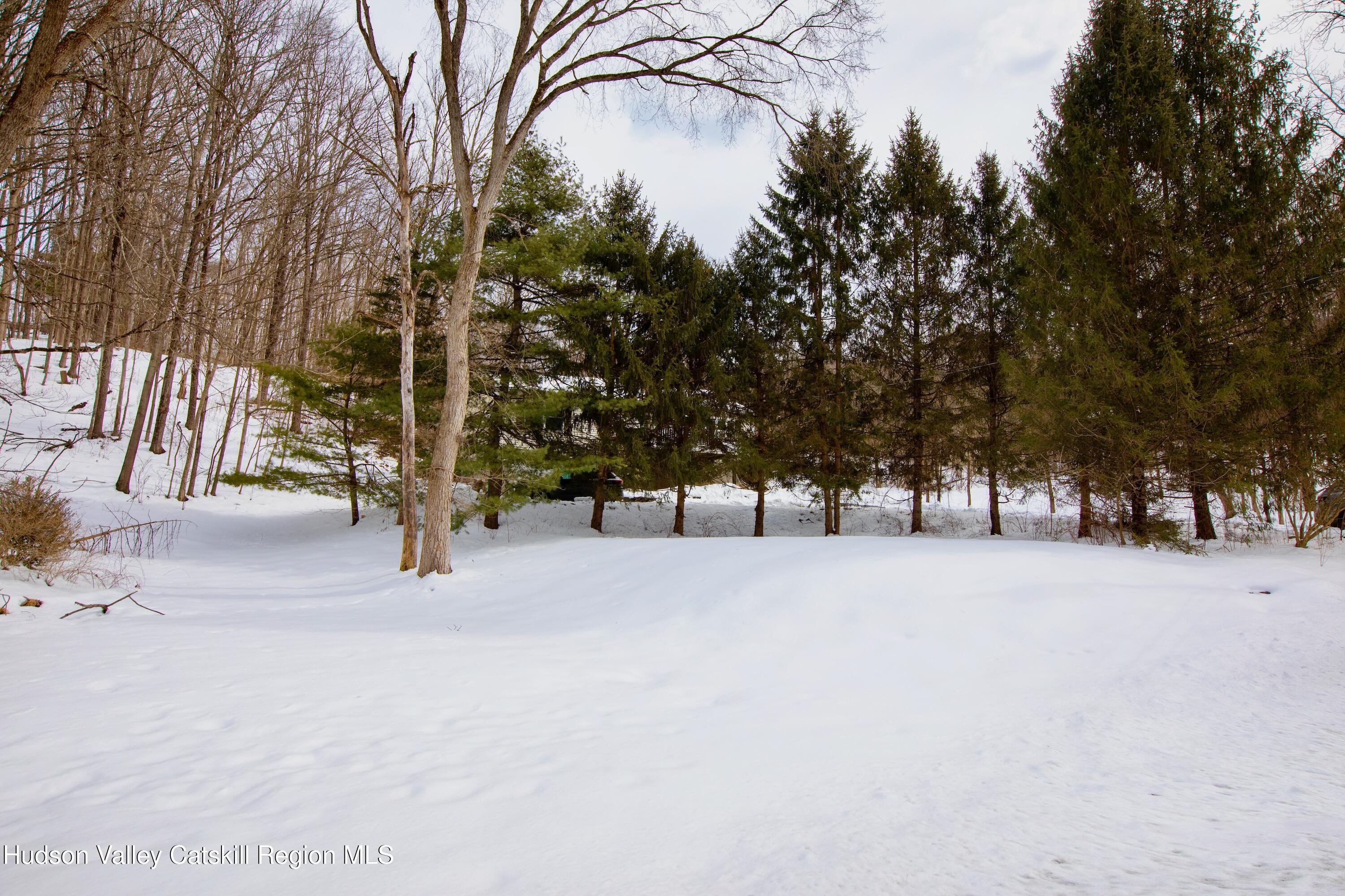 1046 Cow Hough Road New Paltz, NY 12561 - Photo 35 of 37 a view of outdoor space and trees