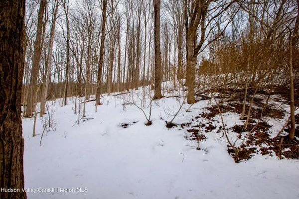 a view of yard with patio