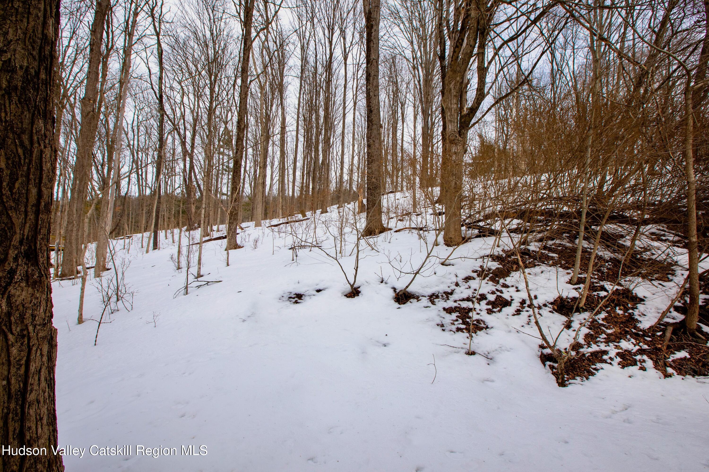 1046 Cow Hough Road New Paltz, NY 12561 - Photo 36 of 37 a view of yard with patio