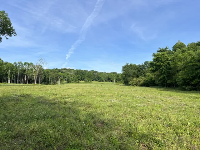 a view of a field with an trees