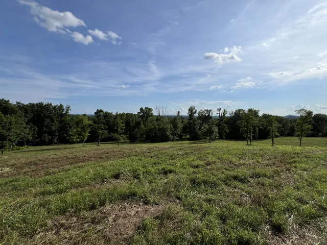 a view of an outdoor space and a yard