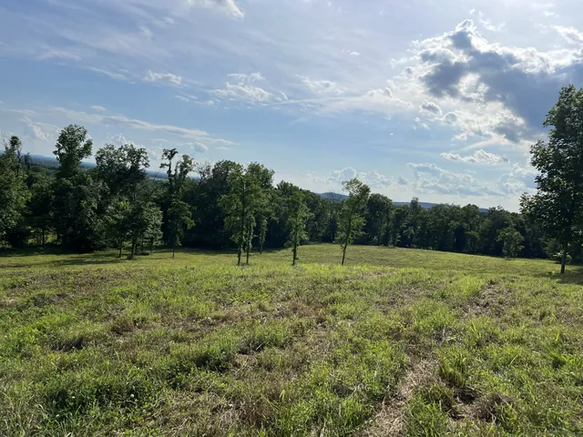 a view of an outdoor space and yard