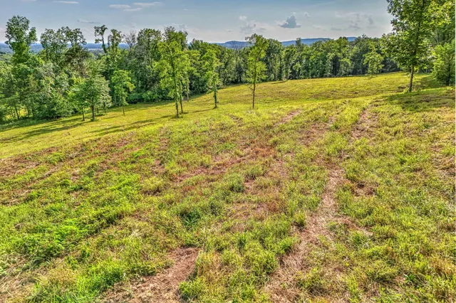 a view of a yard with a swimming pool