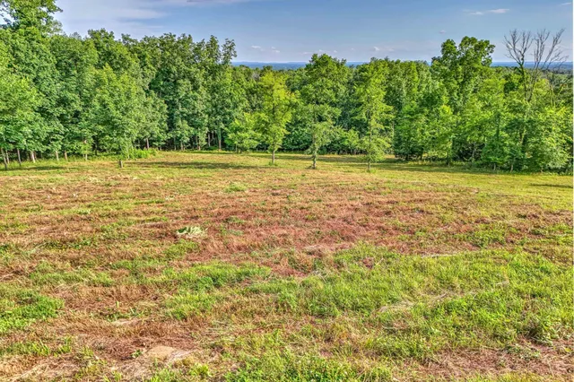 a view of a yard with an outdoor space